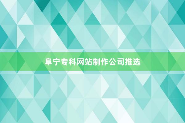 阜宁专科网站制作公司推选