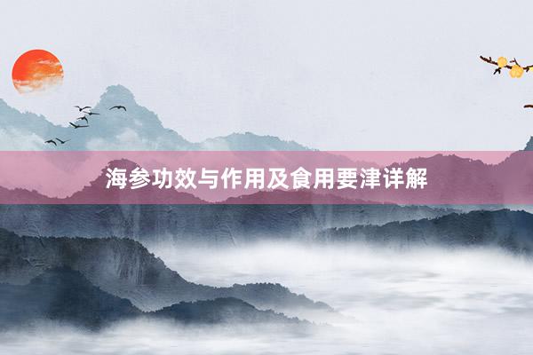 海参功效与作用及食用要津详解