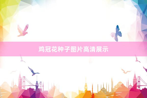 鸡冠花种子图片高清展示